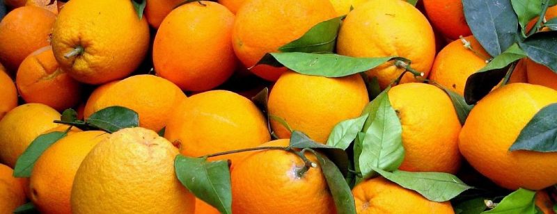 Naranjas sabrosas