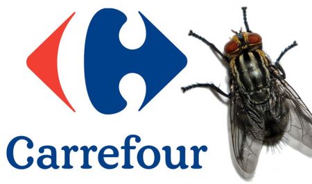 Insectos Carrefour