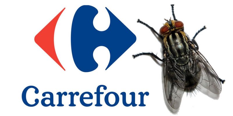 Insectos Carrefour