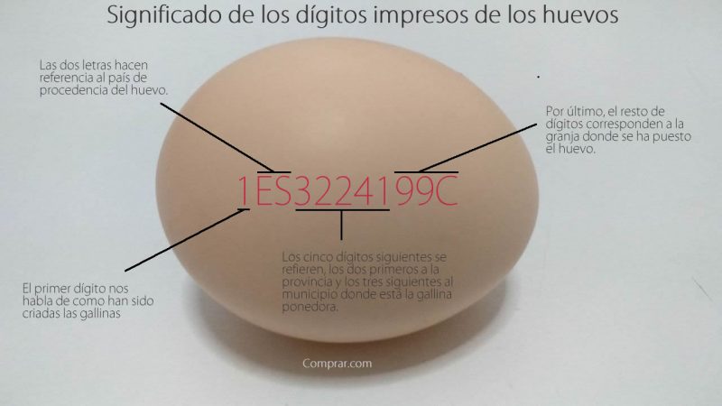 Significado de los dígitos de los huevos